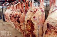 Sự Thật Đằng Sau Miếng Thịt Bạn Đang Bỏ Vào Miệng Hôm Nay.
