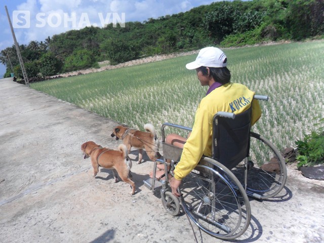 Chuyện hiếm thấy về 2 chú chó kéo xe chở chàng trai bị liệt