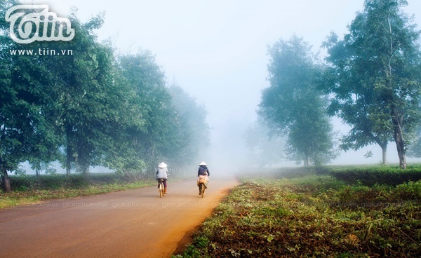 Đường đi làm trong sương sớm