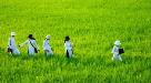 MÔT BÀI VIẾT HAY DÀNH CHO NGƯỜI HẢI NGOẠI.