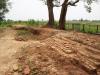 Nepal: UNESCO khai quật khảo cổ tại Hoàng cung Ca-tỳ-la-vệ