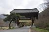 Bạch Dương Cổ Tự (백양사 -白羊寺) với núi rừng đẹp