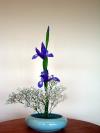 Tinh tế nghệ thuật cắm hoa Ikebana Nhật Bản