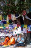 Ngày xuân “Tây du” hành hương lễ Phật