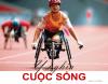 Ý nghĩa cuộc sống