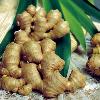 Bảy loại gia vị và thảo mộc chống ung thư