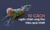 10 chuyên gia đúc kết 10 nguyên tắc 'vàng' phòng tránh ung thư: Ghi nhớ để tự cứu mình