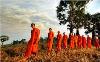 The Sangha -Tăng Già