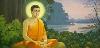 Ý nghĩa Đức Phật Thành đạo