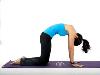 Bài tập đơn giản làm chắc khõe xương sống lưng 
( Exericise for the Spine )
