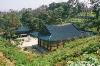 Lạc Sơn Cổ Tự (Naksansa – 洛 山 寺), Hàn Quốc