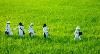 MÔT BÀI VIẾT HAY DÀNH CHO NGƯỜI HẢI NGOẠI.