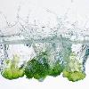 Máu nhiễm mỡ và cách phòng ngừa đơn giản!.