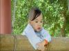 Không đề cho web