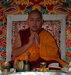 kyabjelingrinpoche.shakyamunishrineroom kyabjelingrinpoche.shakyamunishrineroom