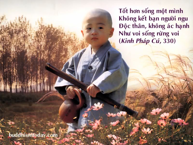 chu_tieu_10.jpg