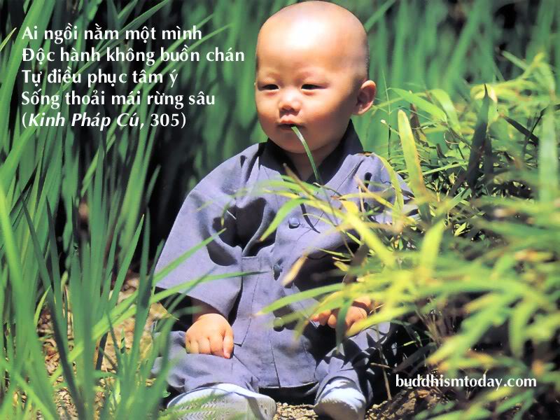 chu_tieu_11.jpg