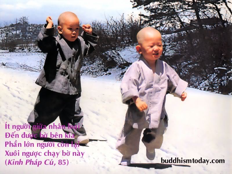 chu_tieu_4.jpg