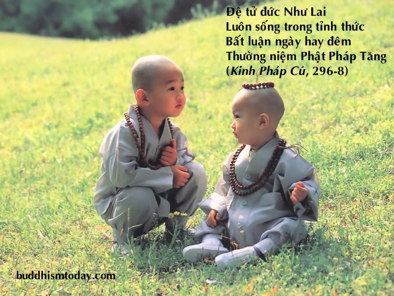 chu_tieu_8.jpg