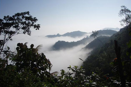 Sương sớm ở Xiang Khoang (Lào). Ảnh: T.T