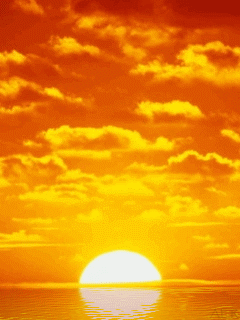 Animated wallpaper, screensaver 240x320 for cellphone