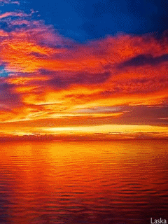 Animated wallpaper, screensaver 240x320 for cellphone