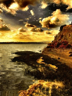 Animated wallpaper, screensaver 240x320 for cellphone