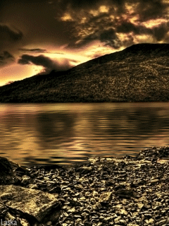 Animated wallpaper, screensaver 240x320 for cellphone
