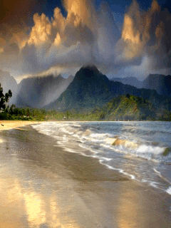Animated wallpaper, screensaver 240x320 for cellphone