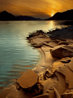 Animated wallpaper, screensaver 240x320 for cellphone