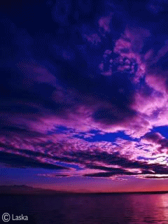 Animated wallpaper, screensaver 240x320 for cellphone