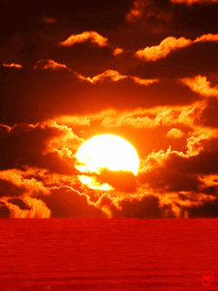 Animated wallpaper, screensaver 240x320 for cellphone