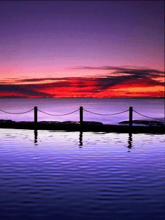Animated wallpaper, screensaver 240x320 for cellphone