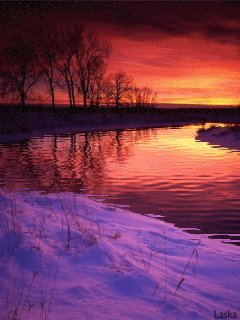 Animated wallpaper, screensaver 240x320 for cellphone
