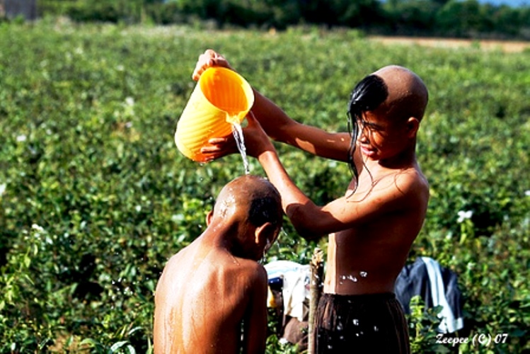 Cùng nhau tắm rữa