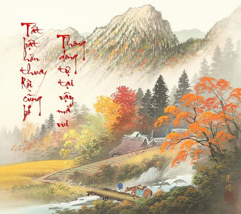  tp6.jpg