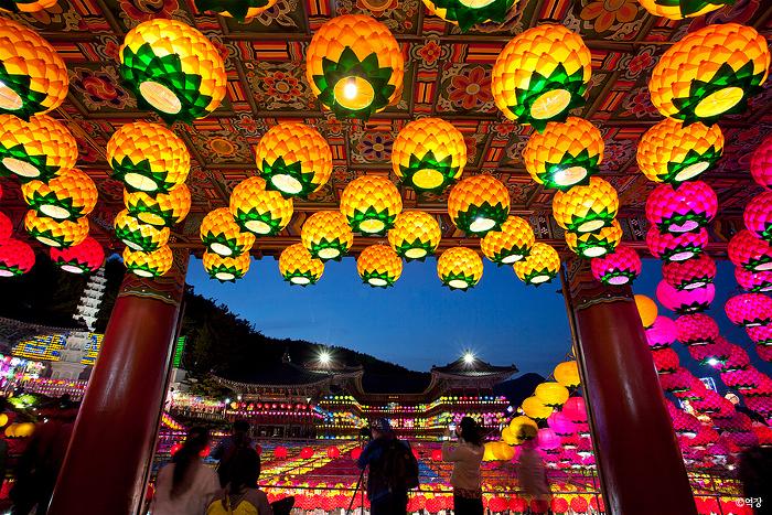 Vesak Korea 7