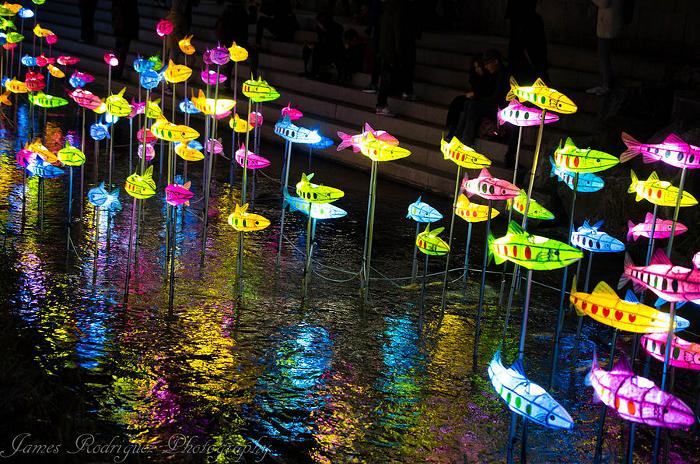 Vesak Korea