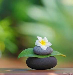 Bài Học “nhẫn Nhục” Trong Hành Trình Tâm Linh
