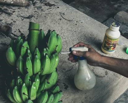 Bệnh ung thư đe dọa giới trẻ, lời cảnh báo từ thực phẩm như thế nào?  - Ảnh 3.