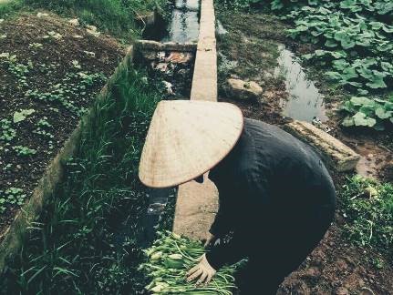 Bệnh ung thư đe dọa giới trẻ, lời cảnh báo từ thực phẩm như thế nào?  - Ảnh 2.
