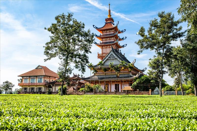 Đến năm 1936, chùa được xây dựng lần đầu với tên gọi là “Chùa Phật Học”, sau đó ngôi chùa tiếp tục được trùng tu và chính thức mang tên là Bửu Minh từ năm 1961. Đến nay, những ngôi nhà cổ của công nhân đồn điền chè năm xưa chỉ còn lại trên đầu ngón tay nhưng cốt của ngôi chùa cũ vẫn còn và trong khuôn viên chùa đang giữ lại nhiều gốc trà với tuổi đời gần trăm năm. Ảnh: Chu Thế Dũng