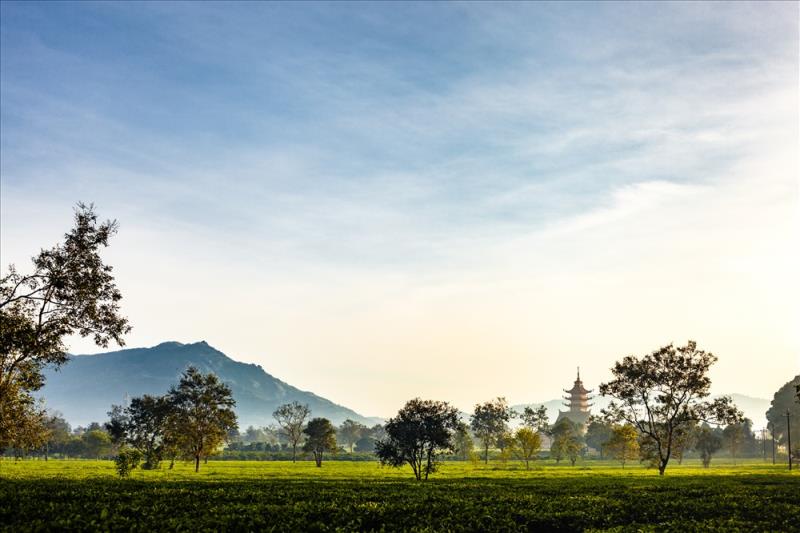  Chùa cách Biển Hồ Tơ Nưng 1km và bằng mắt thường vẫn nhìn thấy được núi lửa Chư Đang Ya phía sau chùa, cách khoảng 6km. Ảnh: Chu Thế Dũng
