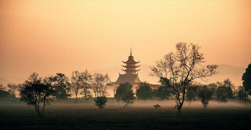 Dẫn lối vào chùa là hàng thông trăm tuổi quanh năm u tịch, nghiêng mình bên mái chùa thiêng. Ảnh: Quoc Nguyen